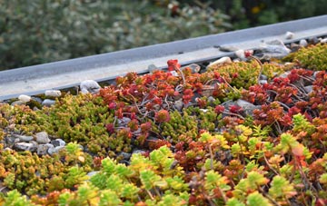 the cost of Groton green roof installation