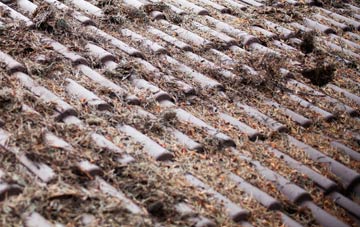 Groton roof cleaning companies