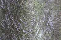 Groton fibreglass roof work